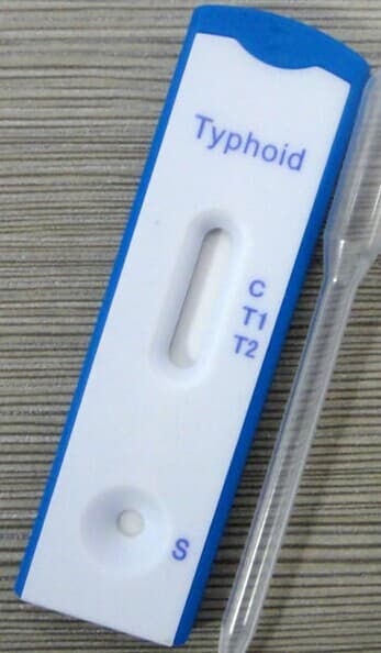 Typhoid Ab IgG_IgM Rapid Test